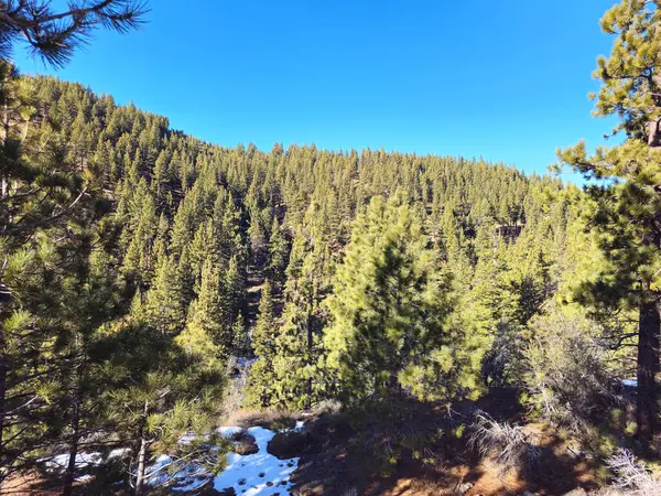 Güzel doğa. Nevada Eyaleti. ABD.