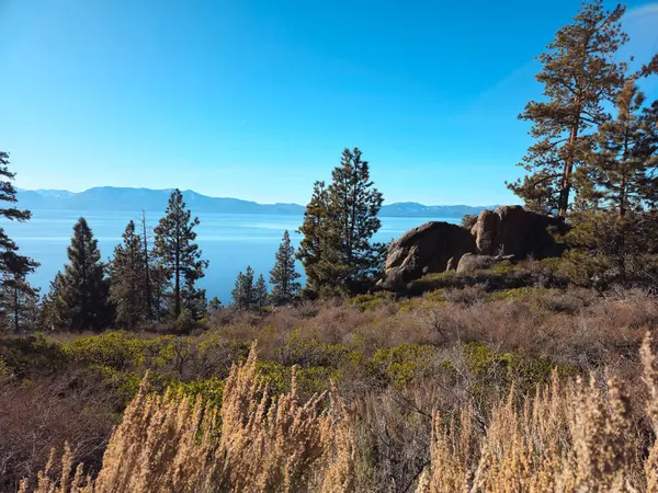 Güzel doğa. Tahoe Gölü. ABD