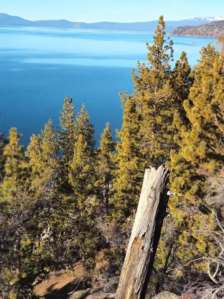 Güzel doğa. Tahoe Gölü. ABD