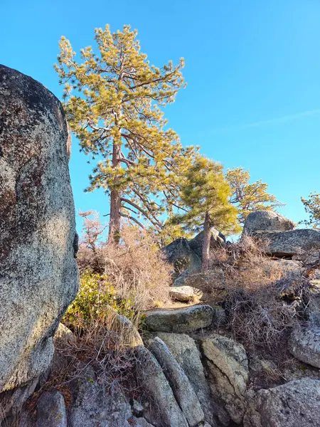 Güzel doğa. Nevada Eyaleti. ABD.