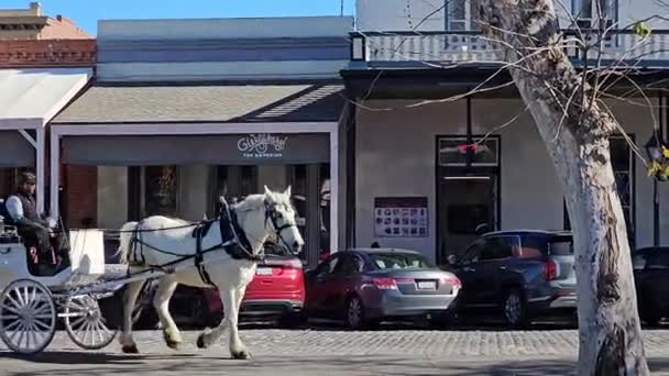 Sacramento California Eua 2024 Velho Sacramento Homem Num Cavalo Branco — Vídeo de Stock