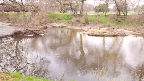 Podzimní Řeka Nádherná Příroda California — Stock video