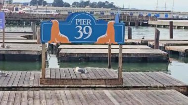 39. iskele. San Francisco mu? Kaliforniya.