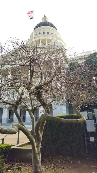 Kaliforniya Eyalet Başkent Müzesi. Sacramento.