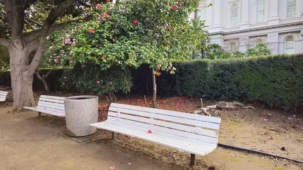 Parktaki beyaz güzel banklar.