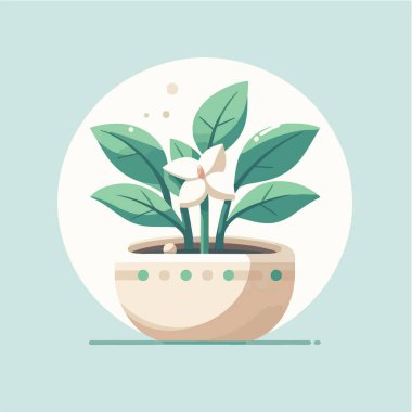 bir vazo vektör illüstrasyonunda ev bitkisinin düz tasarımı