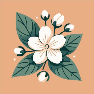 yasemin çiçeği ev bitkisi düz tasarım vektör çizimi