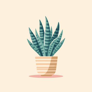 düz tasarım sansevieria trifasciata yaprağı dekarasyon vektörü çizimi için ev bitkisi