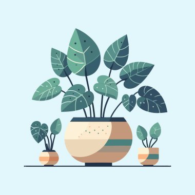 Kahverengi tencere vektör illüstrasyonunda alocasia yaprağının düz tasarımı
