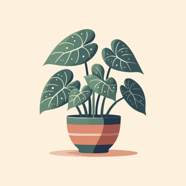 Alokasya yaprağının düz tasarımı bir saksı vektör illüstrasyonunda