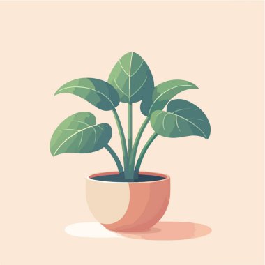 Dekorasyon vektörü illüstrasyonu için düz dizayn şirin doğal ev bitkisi