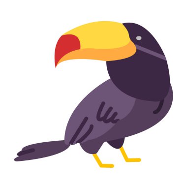 Toucan Düz Simge Tasarımı