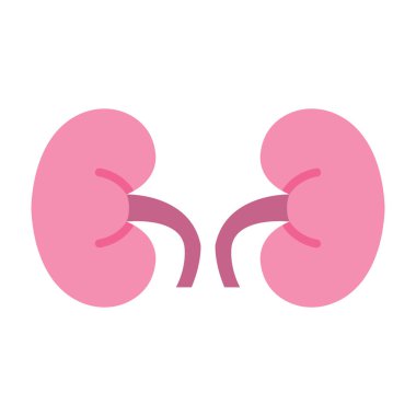 Böbrek Düz Simgesi Tasarımı