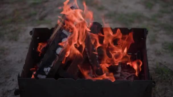 불타는 나무와 Campfire 고품질 동영상 — 비디오