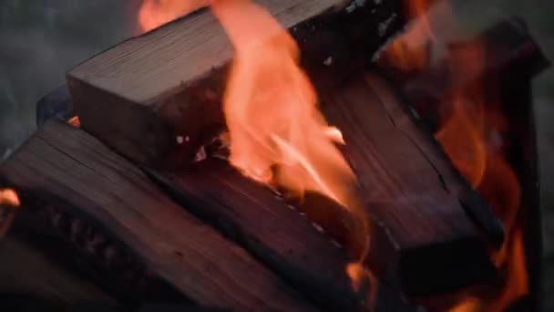 在金属烤架上烧木柴 木头在烤架上烧着了 高质量的4K镜头 — 图库视频影像