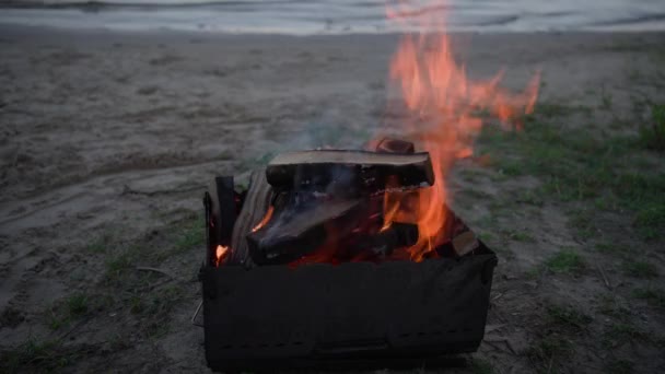 Κάψιμο Ξύλινων Κορμών Μεταλλική Σχάρα Ξύλο Καίγεται Στη Σχάρα Υψηλής — Αρχείο Βίντεο