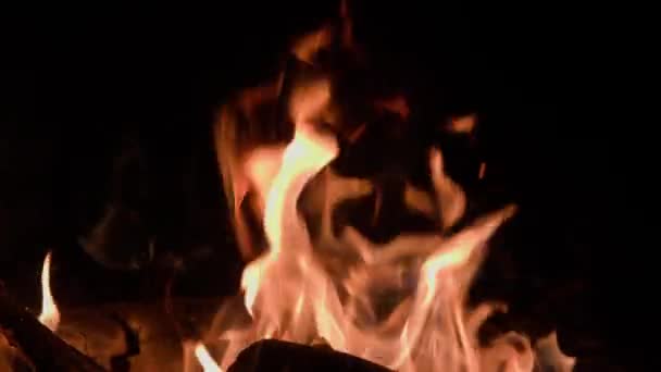 Ogień Płomienie Zapłonące Płonące Wolny Ruch Prawdziwy Ogień Wysokiej Jakości — Wideo stockowe