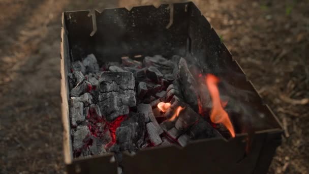 Barbecue Ember Close High Quality Footage — Stock Video