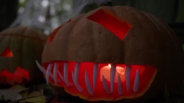 Cadılar Bayramı için balkabağı aydınlatıyordum. Cadılar Bayramı 'nda Jack O Lantern' in balkabağı ailesinin evindeydi. Yüksek kalite 4k görüntü