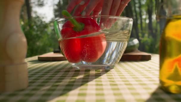 Hands Wash Red Pepper Glass Bowl While Camping Nature High — Stock Video