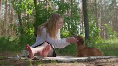 Ormanda kamp yaparken ekose üzerinde oturan ve bir köpeği okşayan bir kız. Yüksek kalite 4k görüntü
