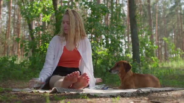 Fată Relaxează Pătură Timp Tabăra Pădure Câine Lângă — Videoclip de stoc