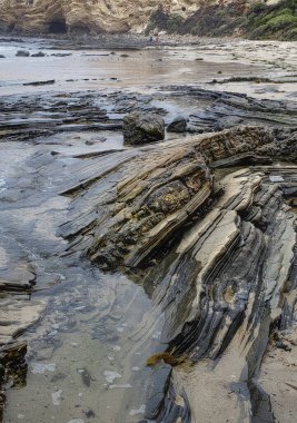 Okyanus ve Sahil Kayalıkları