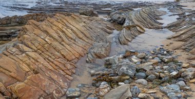 Okyanus ve Sahil Kayalıkları