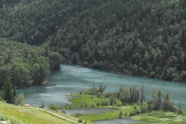 Nehir ve ormanlı güzel bir manzara.