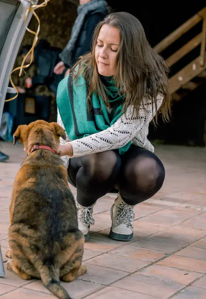 Yerde oturup yavru bir köpekle oynayan genç bir kızın portresi. Dikey.