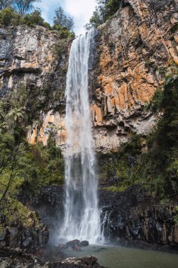 Springbrook Şelalesi 'ndeki şelale aşağıdan görünüyor. Queensland, Avustralya.