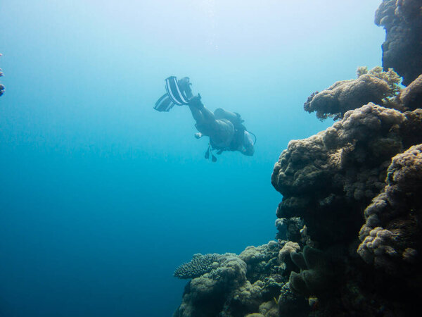 Прыжки с акваланга в Красное море