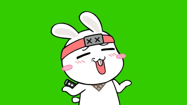 Animazione Ninja Coniglio Sullo Schermo Verde Personaggio Emozione Video — Video Stock