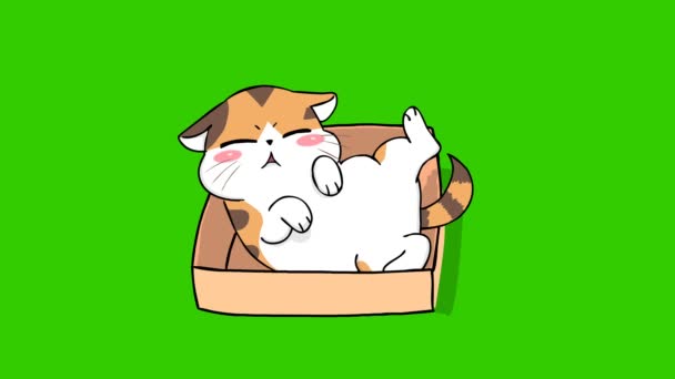 Animazione Carina Gatto Arancione Sullo Schermo Verde Personaggio Emozione Video — Video Stock
