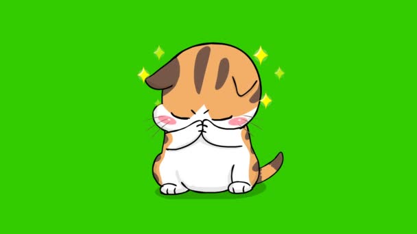 Πορτοκαλί Γάτα Χαριτωμένο Animation Στην Πράσινη Οθόνη Συναίσθημα Χαρακτήρα Βίντεο — Αρχείο Βίντεο