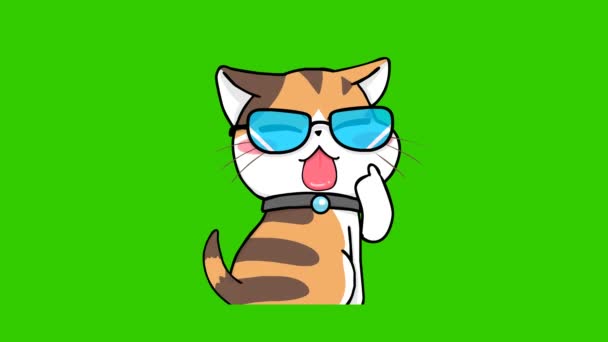 Turuncu Kedi Animasyonu Yeşil Ekranda Duygu Karakteri Video — Stok video