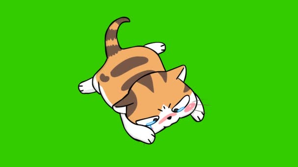 Oranžová Kočka Roztomilá Animace Zelené Obrazovce Emotivní Charakter Video — Stock video
