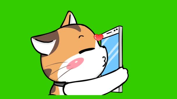 Laranja Gato Bonito Animação Tela Verde Emoção Personagem Vídeo — Vídeo de Stock