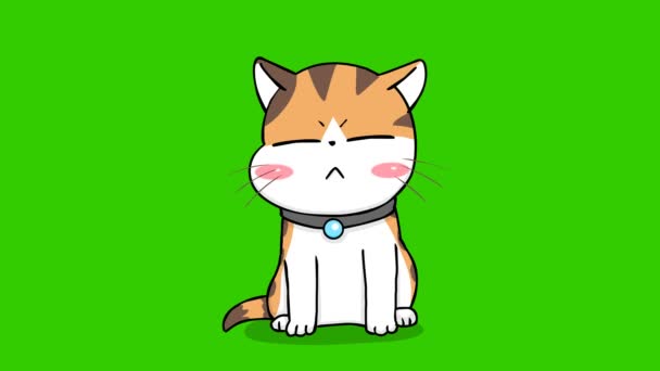 Апельсиновая Кошка Симпатичная Анимация Зеленом Экране Эмоциональный Персонаж Видео — стоковое видео