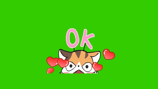 Orange Cat Cute Animation Green Screen Emotion Character Video — Stock Video