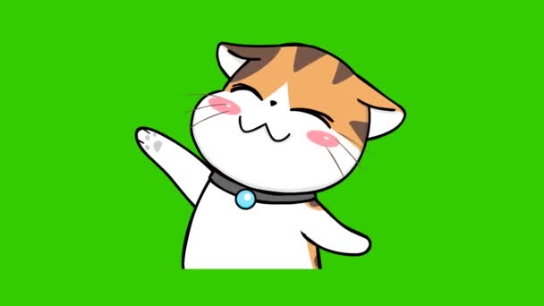 Апельсиновая Кошка Симпатичная Анимация Зеленом Экране Эмоциональный Персонаж Видео — стоковое видео