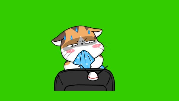 Turuncu Kedi Animasyonu Yeşil Ekranda Duygu Karakteri Video — Stok video