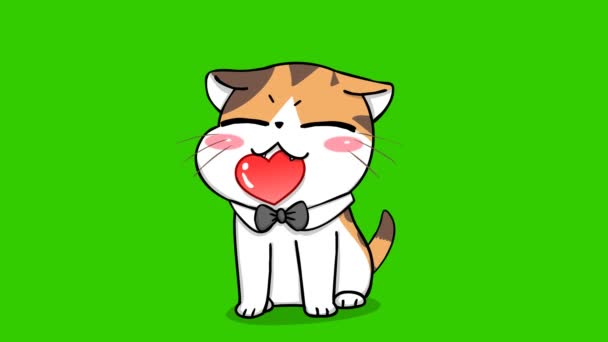 Naranja Gato Lindo Animación Verde Pantalla Emoción Personaje Video — Vídeos de Stock