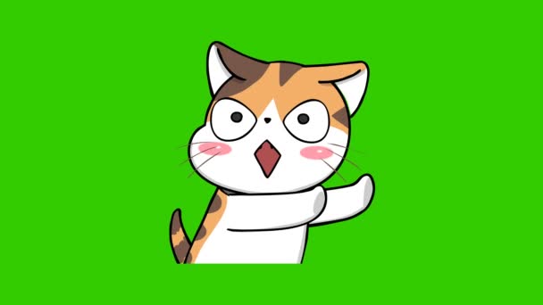 Naranja Gato Lindo Animación Verde Pantalla Emoción Personaje Video — Vídeo de stock