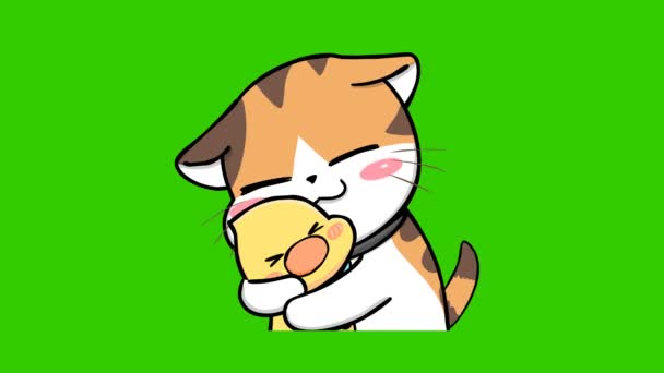 Narancs Macska Aranyos Animáció Zöld Képernyõ Érzelem Karakter Videó — Stock videók