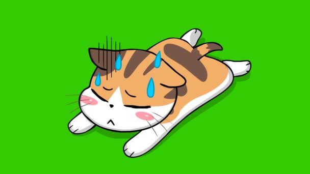 Laranja Gato Bonito Animação Tela Verde Emoção Personagem Vídeo — Vídeo de Stock