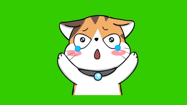 Naranja Gato Lindo Animación Verde Pantalla Emoción Personaje Video — Vídeos de Stock