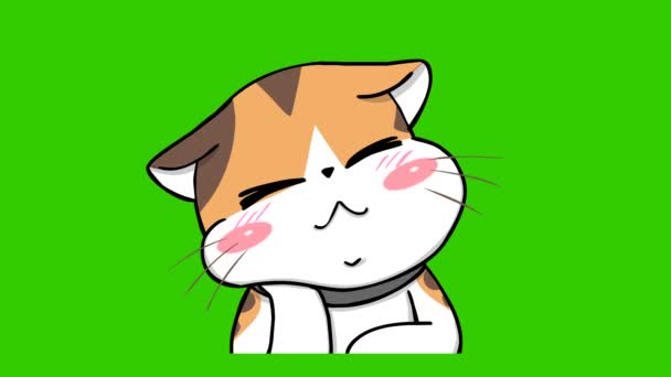 Помаранчева Кішка Мила Анімація Зеленому Екрані Емоційний Персонаж Відео — стокове відео