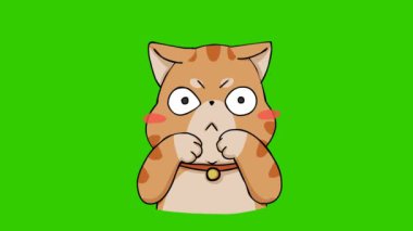 Yeşil ekranda komik kedi animasyonu, duygu karakteri 4k video