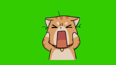 Yeşil ekranda komik kedi animasyonu, duygu karakteri 4k video